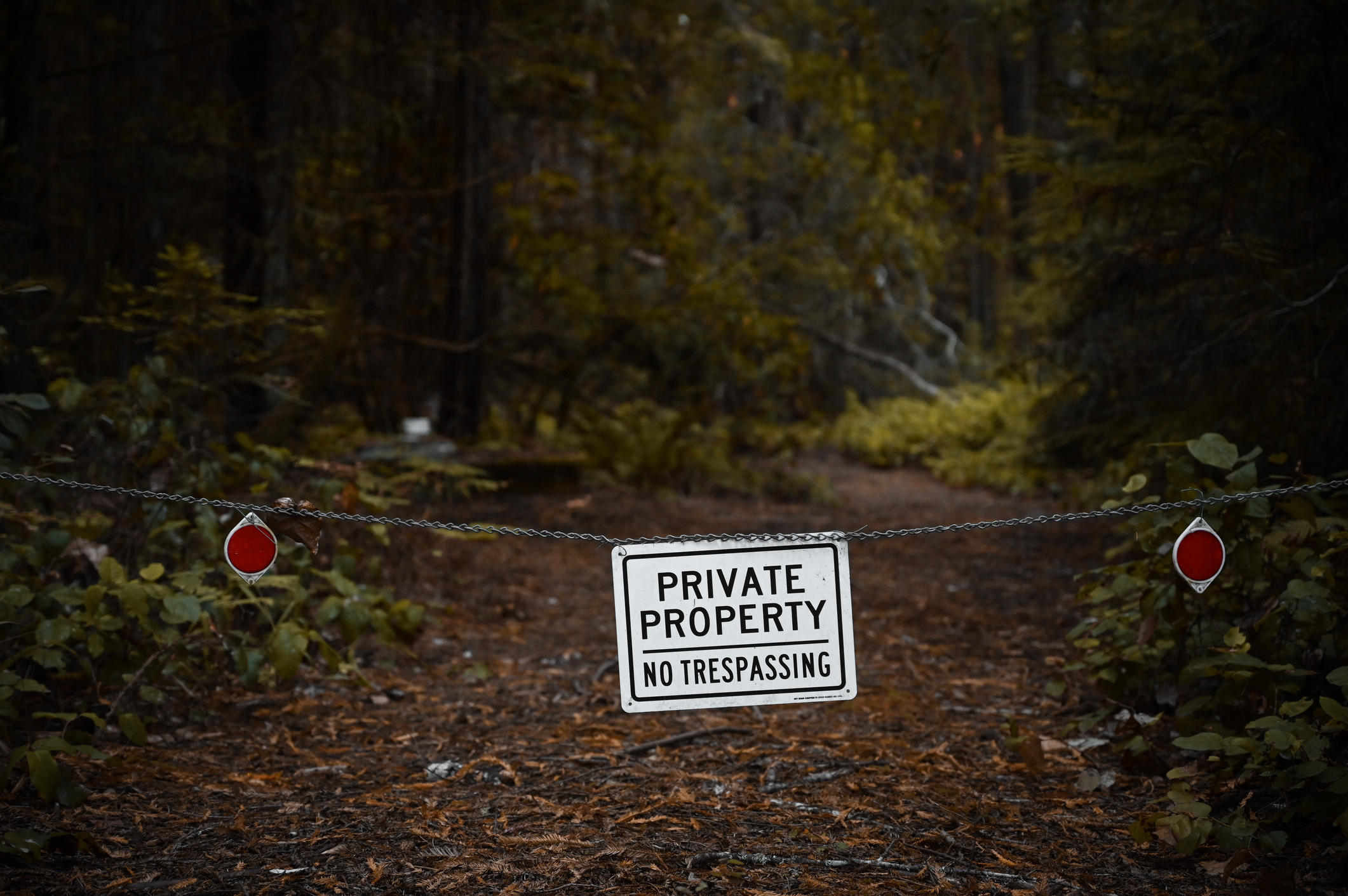 Private property - no trespassing sign to forest road